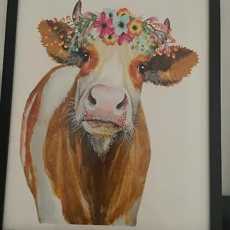 Flores De Santiago Lägenhet