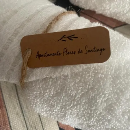 Flores De Santiago *