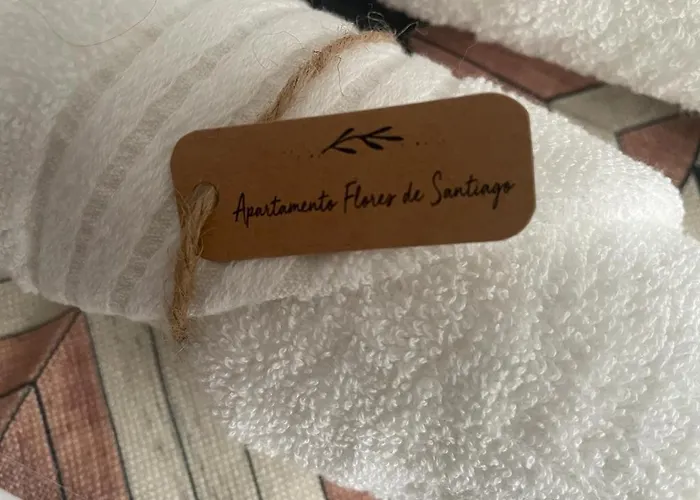 Flores De Santiago *